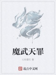 魔武天罪封面
