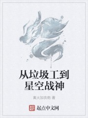 从垃圾工到星空战神封面