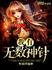 我有无数神针封面