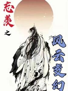 忘羡之风云变幻封面
