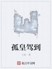 孤皇驾到封面