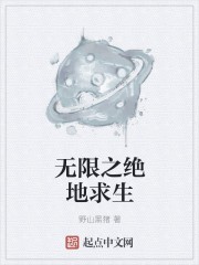 无限之绝地求生封面