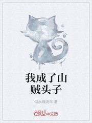 我成了山贼头子封面
