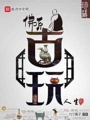 佛系古玩人生封面