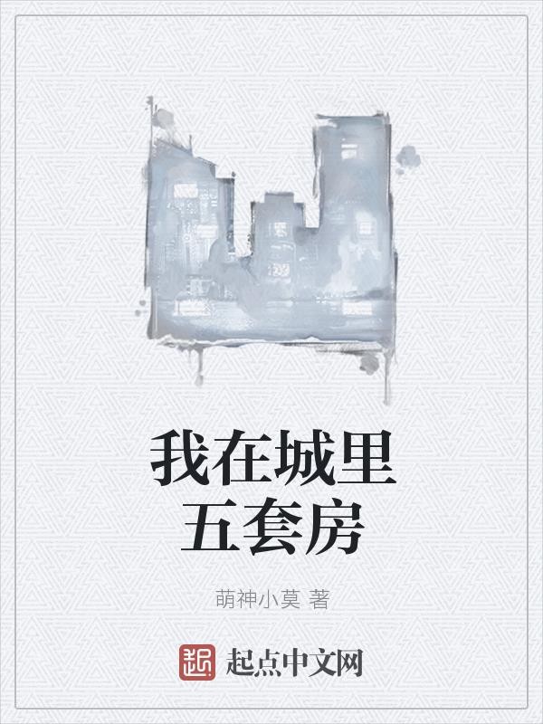 我在城里五套房封面