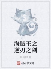 海贼之逆刃之剑封面