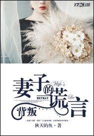 背叛：妻子的谎言封面