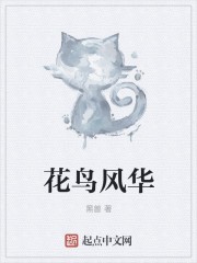 花鸟风华封面