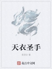 天衣圣手封面