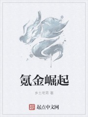 氪金崛起封面