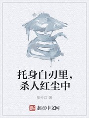 托身白刃里，杀人红尘中封面