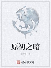 原初之暗封面