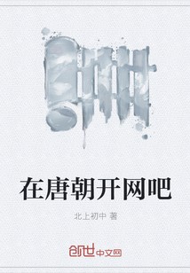 在唐朝开网吧封面