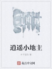 逍遥小地主封面