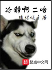 冷静啊二哈封面