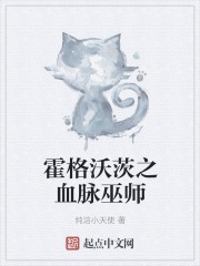 霍格沃茨之血脉巫师封面
