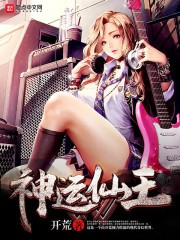 天命主宰封面