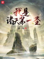 我是诸天第一圣封面