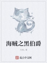 海贼之黑伯爵封面