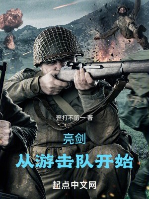 亮剑，从游击队开始封面