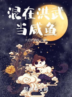 混在洪武当咸鱼封面
