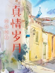 四合院之真情岁月封面