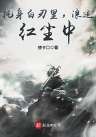 托身白刃里，浪迹红尘中封面