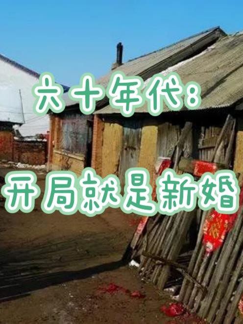 六十年代：开局就是新婚封面