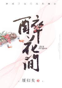 醉花间封面
