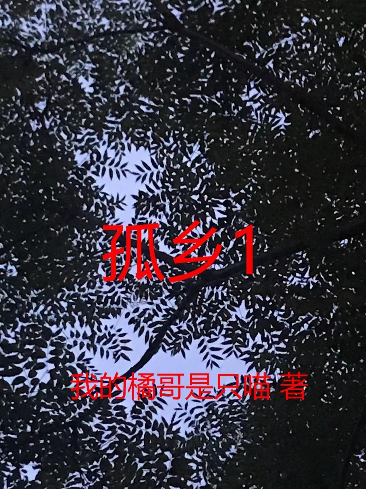 孤乡1封面