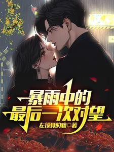 暴雨中的最后一次对望封面