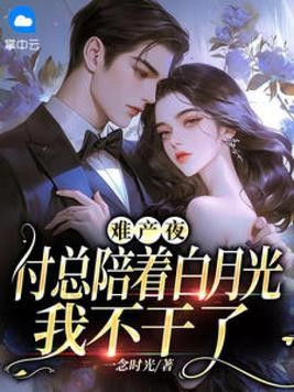 难产夜，付总陪着白月光，我不干了封面