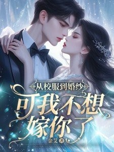 从校服到婚纱，可我不想嫁你了封面