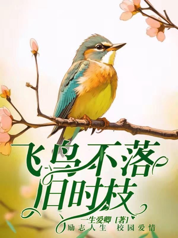 飞鸟不落旧时枝封面
