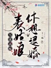 另谋高嫁：表姑娘休想退婚封面