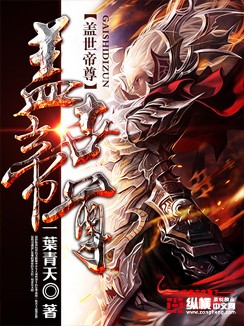 盖世帝尊封面