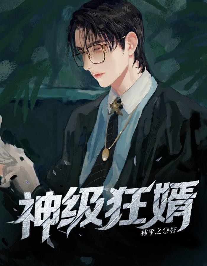 神级狂婿封面