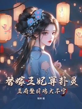 替嫁王妃算卦灵，王府整日鸡犬不宁封面