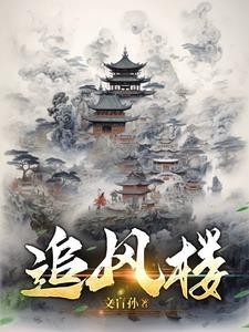 追风楼封面