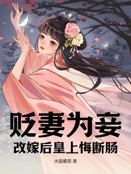 贬妻为妾，改嫁后皇上悔断肠封面