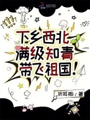 下乡西北，满级知青带飞祖国！封面
