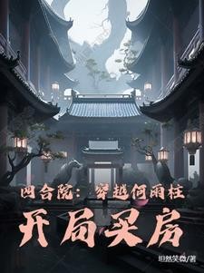 四合院:穿越何雨柱,开局买房封面