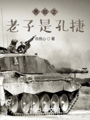 亮剑之老子是孔捷封面