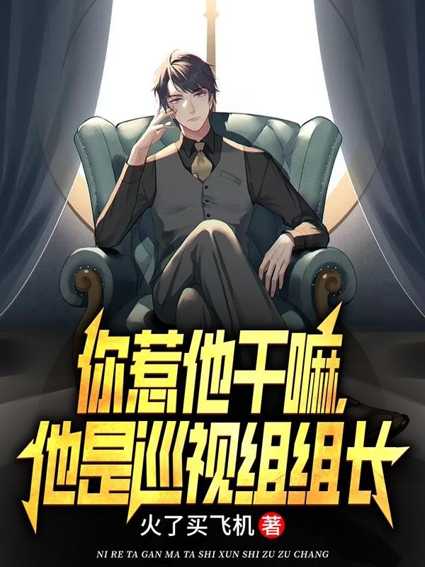 你惹他干嘛，他是巡视组组长封面