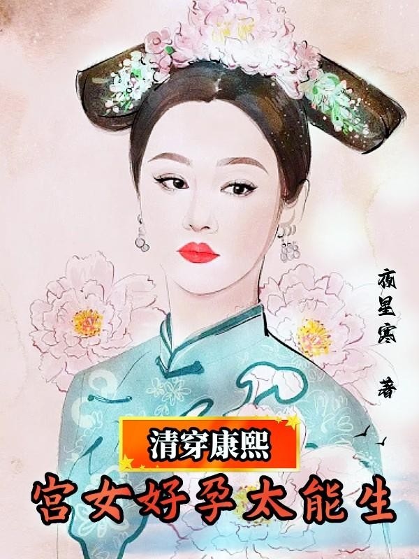 清穿康熙：宫女好孕太能生封面