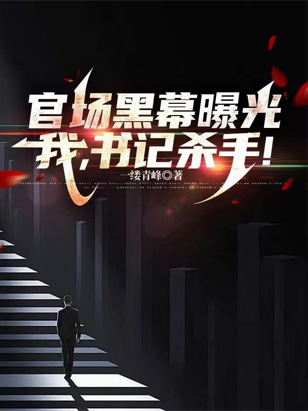 官场黑幕曝光，我，书记杀手封面