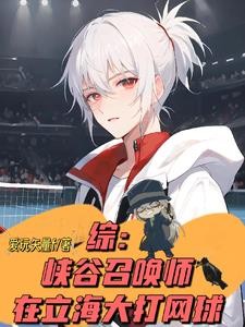 穿越柯学，我拉网王王子进酒厂封面