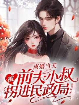 离婚当天，被前夫小叔拐进民政局封面
