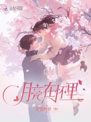 月亮在怀里封面