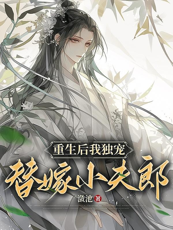 重生后，我独宠替嫁小夫郎封面